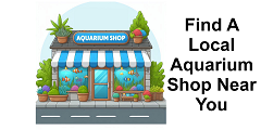 local_aquarium_shop