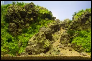 Dragon Stone Scape 