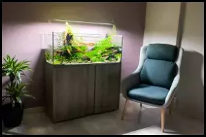 Small Aquarium