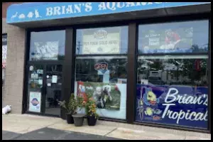 Brian's Tropical Aquarium & Pets